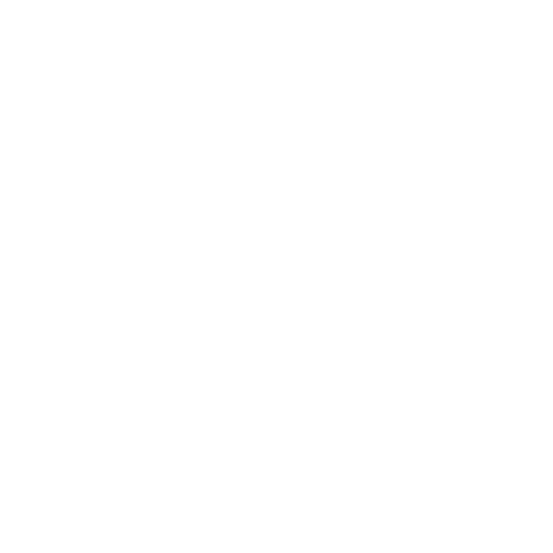 Icona_fibra optica_blanc